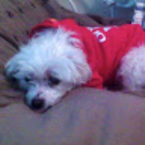 Meet your Posher, Jenny bora - Picture 1 of 1